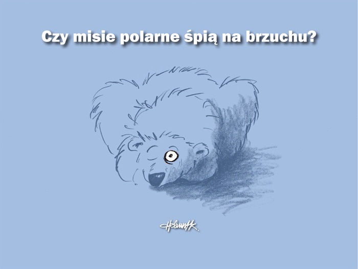 Czy misie polarne śpią na brzychu?