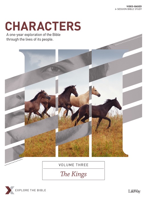 Characters Volume 3: The Kings - Bible Study eBook