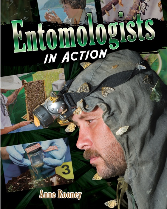 Entomologists in Action