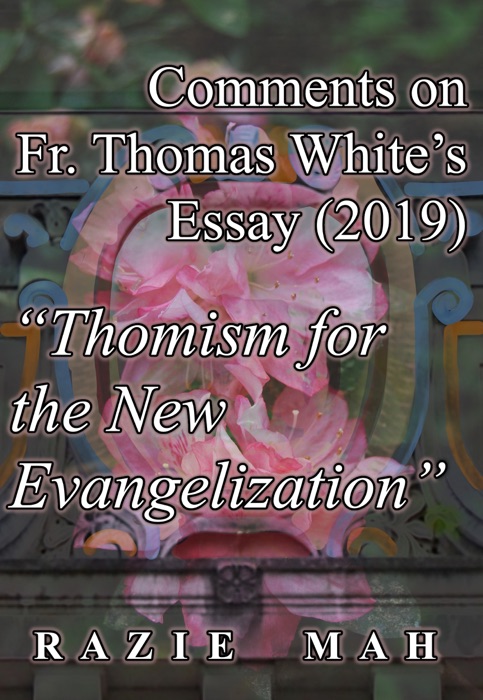 Comments on Fr. Thomas White’s Essay (2019) 