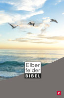 SCM R.Brockhaus - Elberfelder Bibel - Altes und Neues Testament artwork