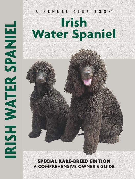 Irish Water Spaniel