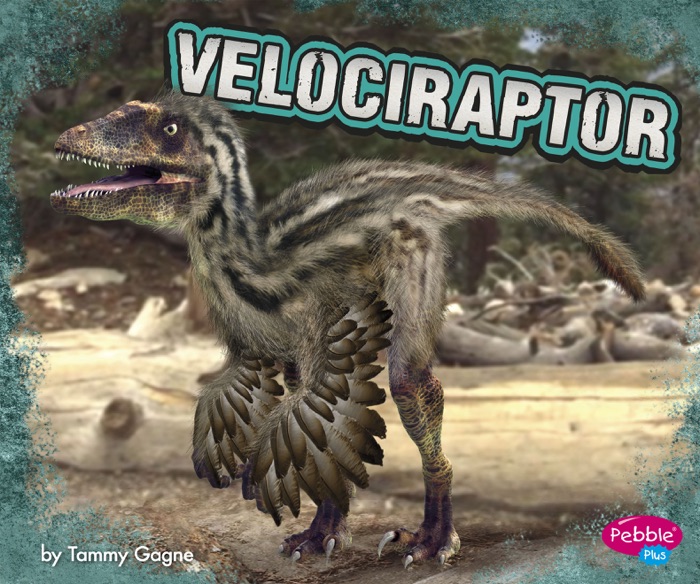 Velociraptor