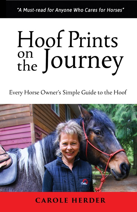 Hoof Prints on the Journey: Every Horse Owner’s Simple Guide to the Hoof