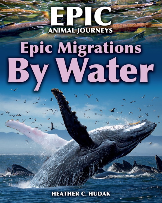 Epic Migrations by Water