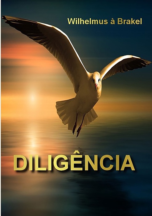 Diligência