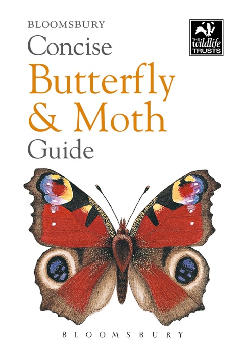 Concise Butterfly and Moth Guide