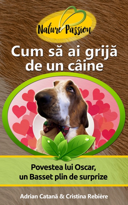 Cum să ai grijă de un câine?