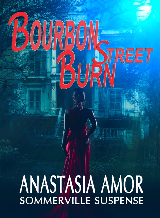 Bourbon Street Burn: Sommerville Suspense