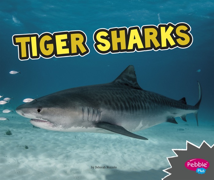 Tiger Sharks