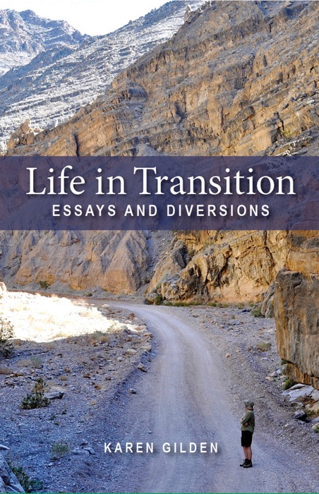 Life in Transition: Essays and Diversions