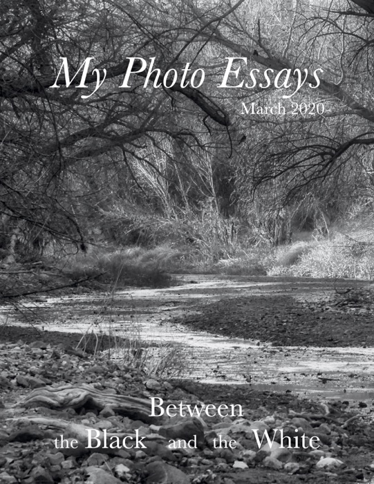 My Photo Essays - March 2020