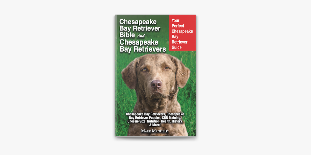 Chesapeake Bay Retriever Bible And Chesapeake Bay Retrievers On Apple Books