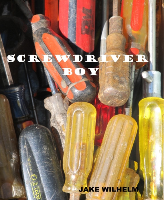 Screwdriver Boy