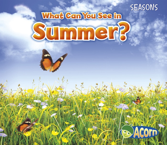 What Can You See in Summer?