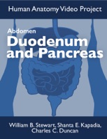 Abdomen: Duodenum and Pancreas