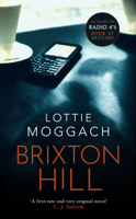 Lottie Moggach - Brixton Hill artwork