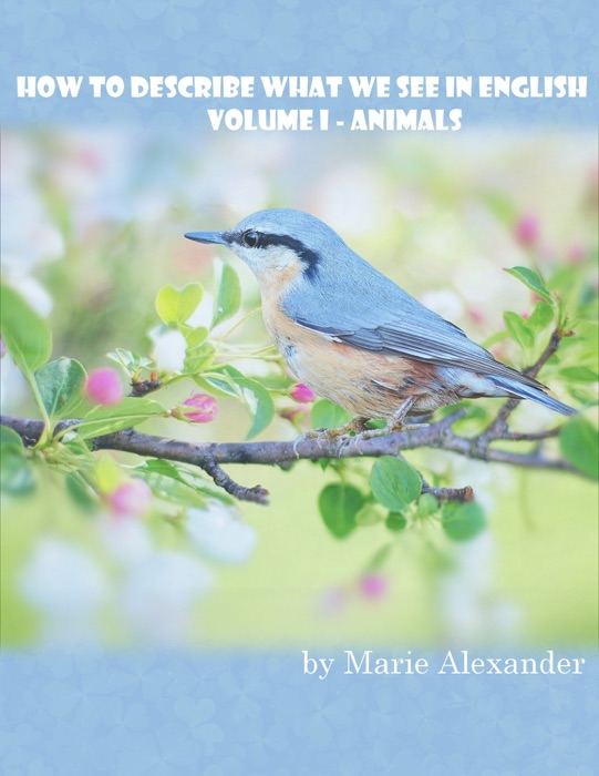 How to Describe What We See in English: Volume I - Animals