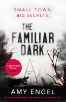 Amy Engel - The Familiar Dark artwork