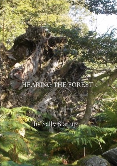 Hearing the Forest