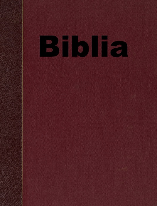 Santa Biblia Para iPhone