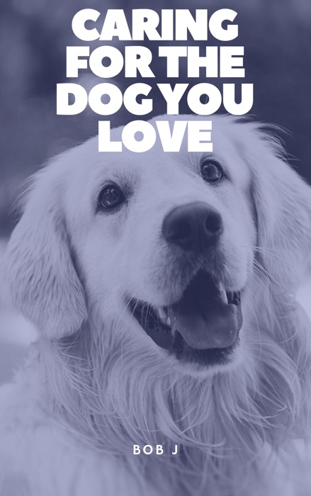 Caring For The Dog You Love