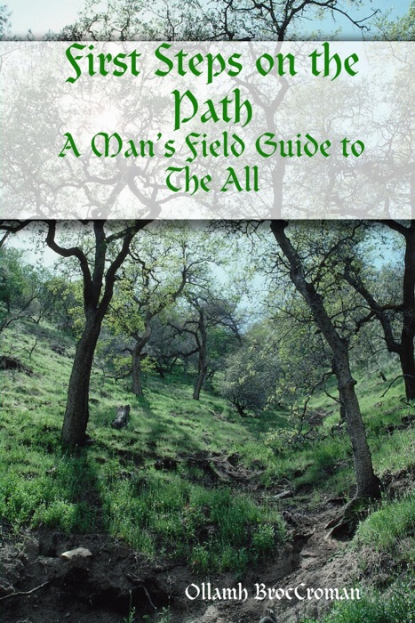 First Steps on the Path: A Man'S Field Guide to the All