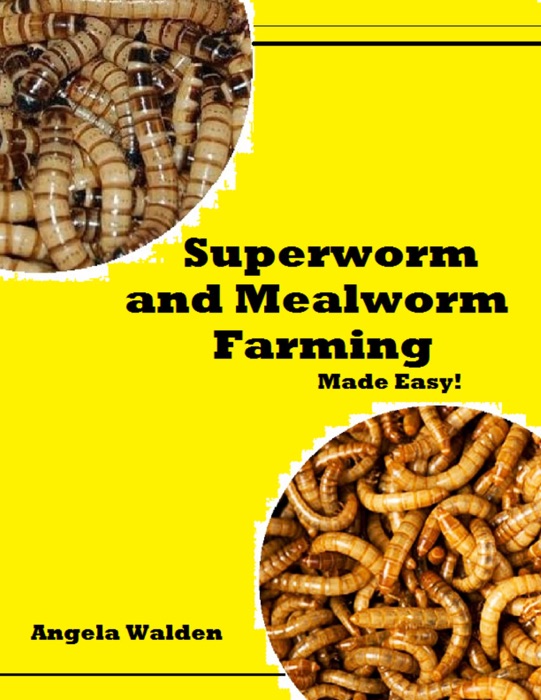 Superworm and Mealworm Farming Made Easy