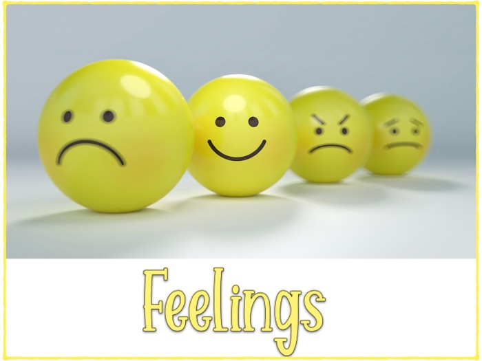 Feelings, Multimodal Vocabulary Activity Book