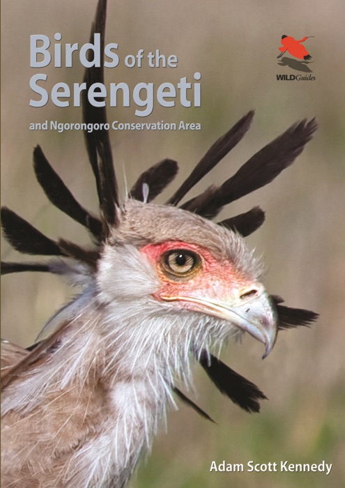 Birds of the Serengeti