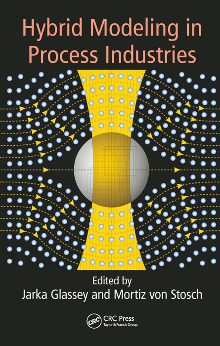 Hybrid Modeling in Process Industries