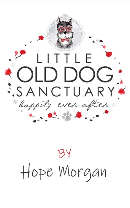 Little Old Dog Sanctuary - Happily Ever After