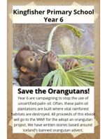 Year 6, Kingfisher Primary - Save the Orangutans artwork