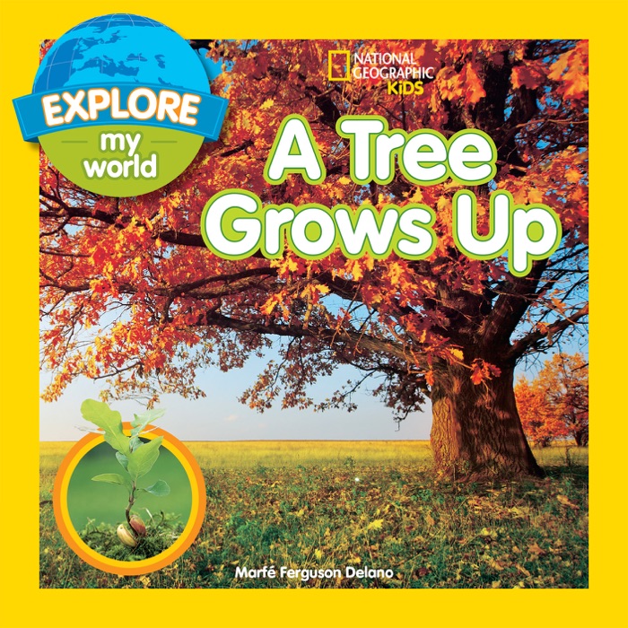 Explore My World: A Tree Grows Up