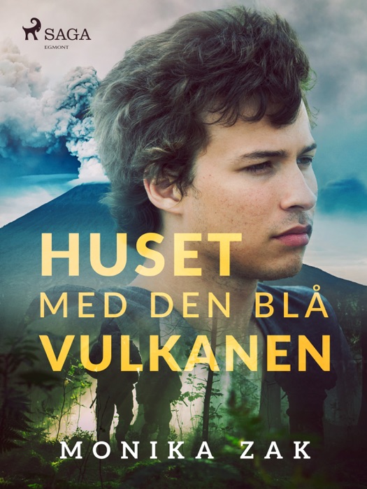 Huset med den blå vulkanen