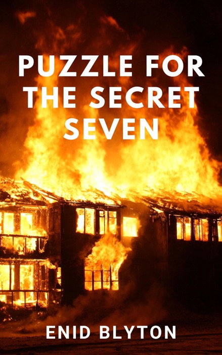 Puzzle for the Secret Seven