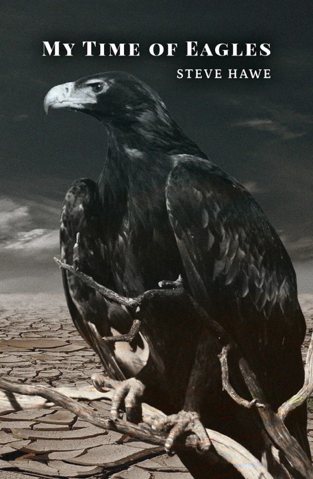 My Time of Eagles
