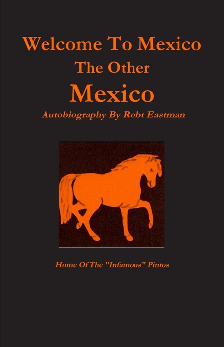 Welcome to Mexico : The Other Mexico: Home Of The