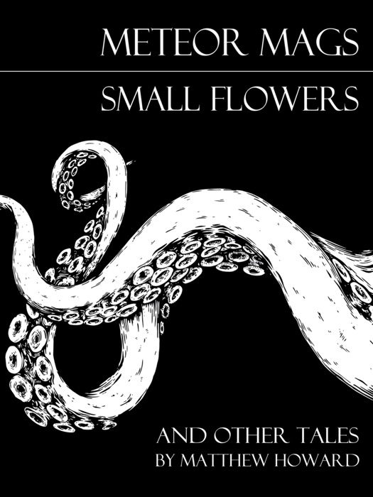 Meteor Mags: Small Flowers and Other Tales