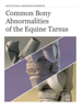 Common Bony Abnormalities of the Equine Tarsus - Educational Resources, University of Georgia