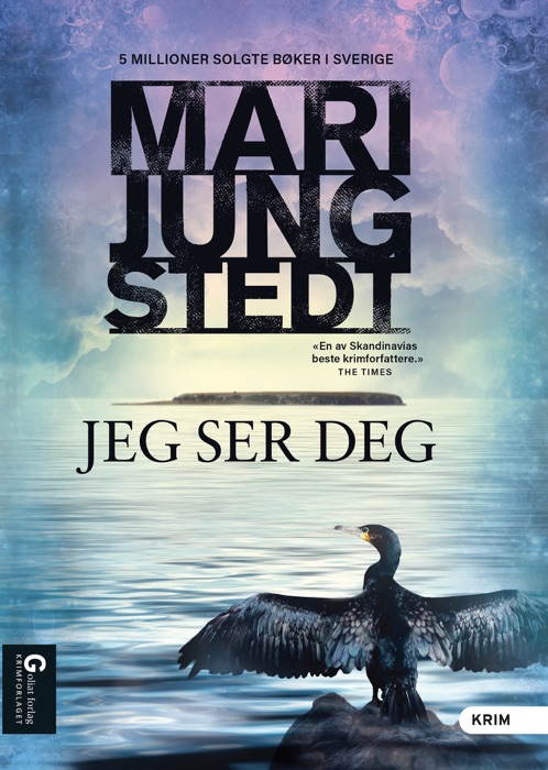 Jeg ser deg