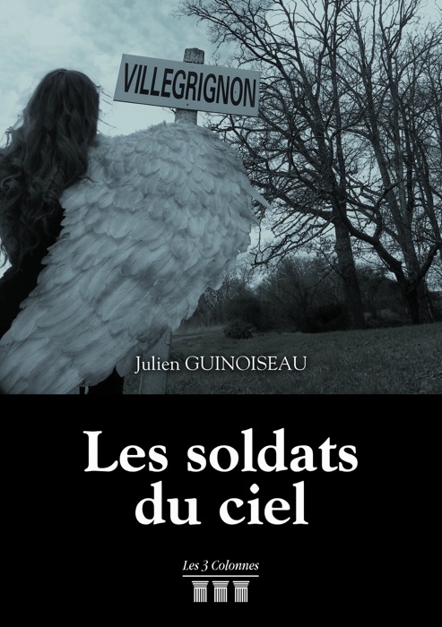 Les soldats du ciel