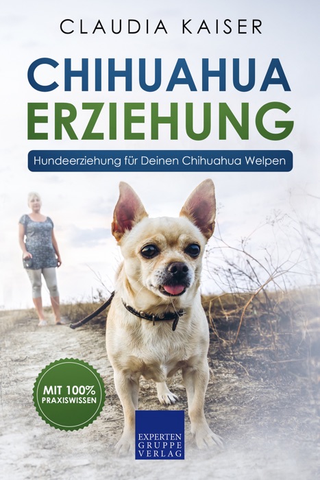 Chihuahua Erziehung