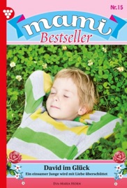 Mami Bestseller 15 – Familienroman