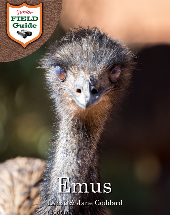 Emus