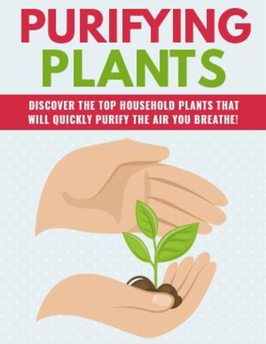 Purifying Plants