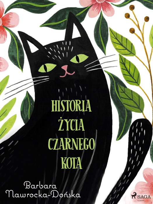 Historia życia czarnego kota