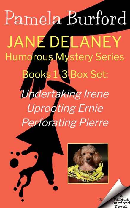 Jane Delaney Humorous Mystery Series: Books 1-3 Box Set