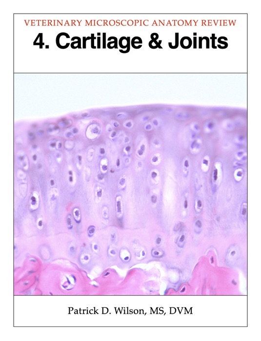 Cartilage & Joints