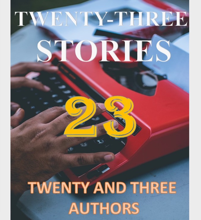TWENTY THREE STORIES